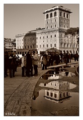 V - IMG_7770